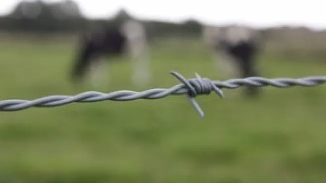 The Week in Review: January 9, 2016